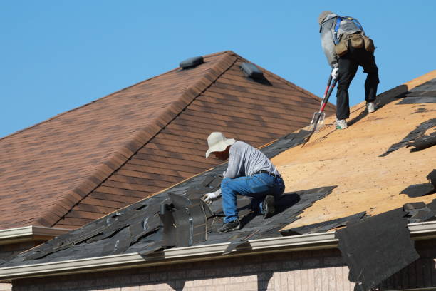 Best Asphalt Shingle Roofing  in Ellwood City, PA