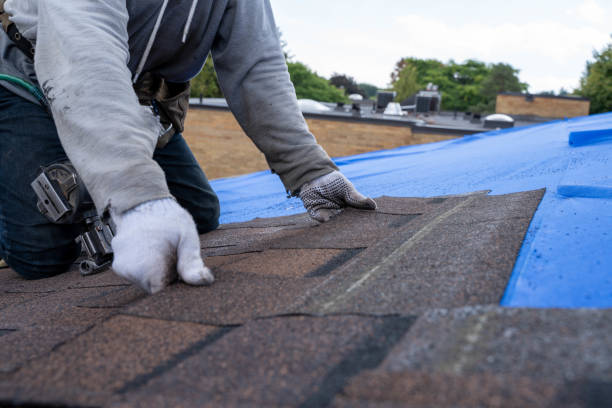 Best Roof Insulation Installation  in Ellwood City, PA